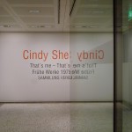 Cindy Sherman Ausstellung in der Vertikalen Galerie, Sammlung Verbund