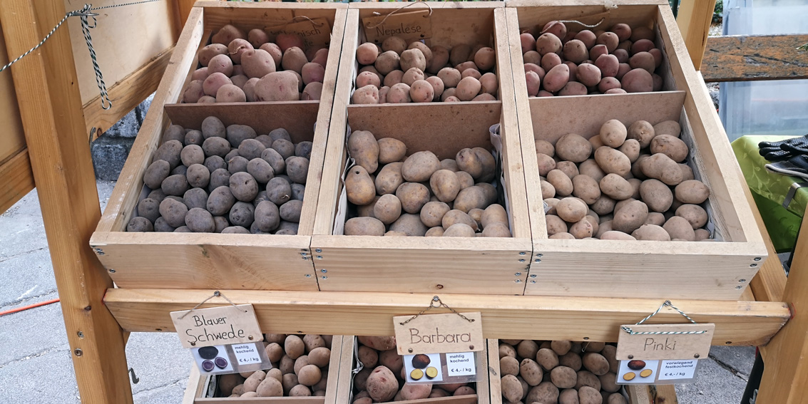 Unterschätzt mir die Kartoffel nicht! Sortenvielfalt auf dem Markt, Bild (c) Mischa Reska - kekinwien.at