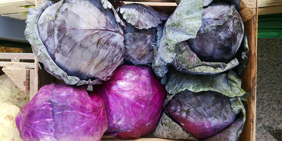 die Farben des Herbstes auf dem Markt, Bild (c) Mischa Reska - kekinwien.at