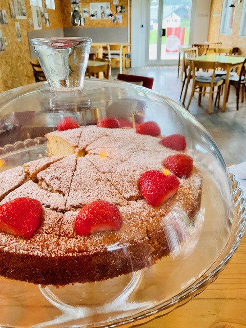 ein schöner Ein- und Ausblick, Kuchen im Treibgut, Bild (c) Klara Schmutzer - Treibgutt